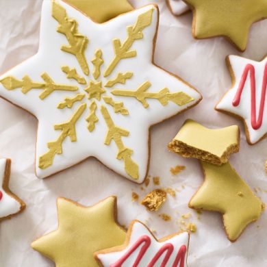 Christmas Lebkuchen Biscuit Selection